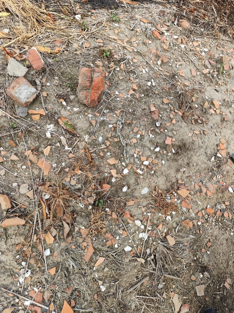 地表踏查現場所見陶片與物質遺留